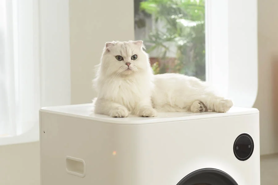 self scooping cat box